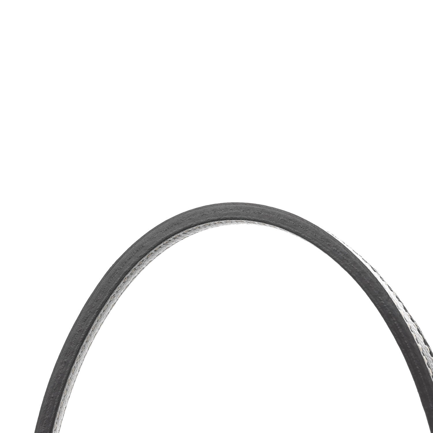 Goyard Goyardine Saint Louis PM Grey 11 of 11
