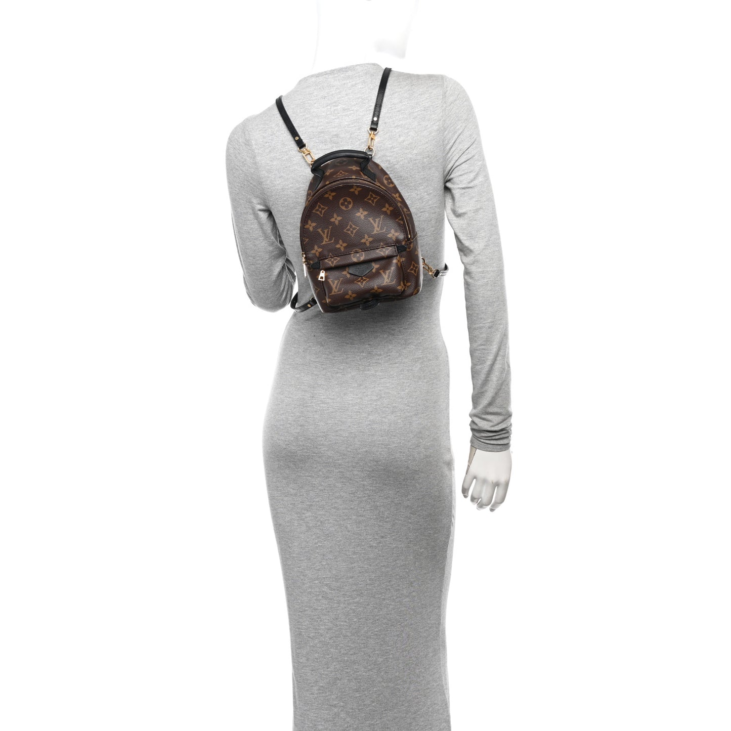 Monogram Palm Springs Backpack Mini