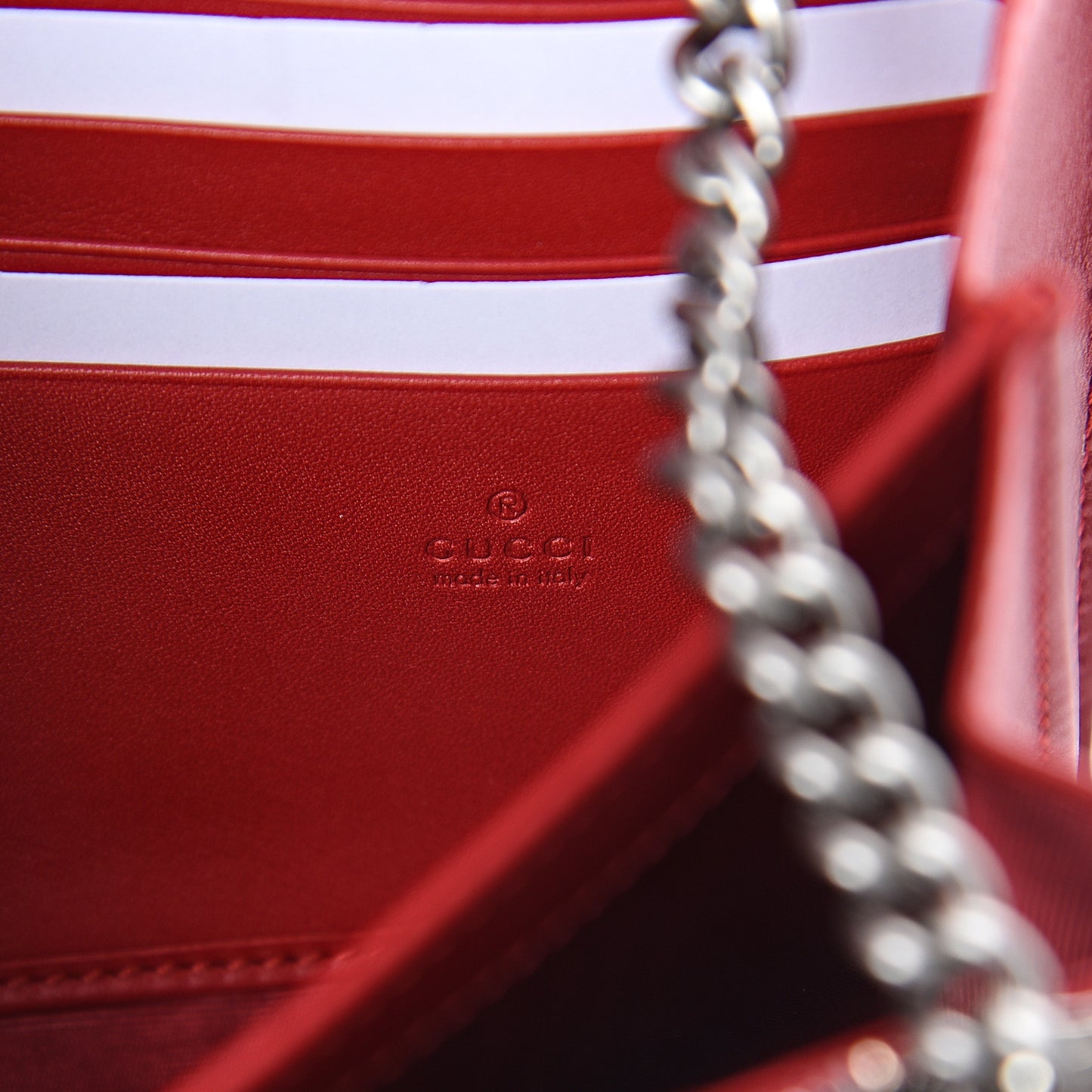 Elaphe Radiata Mini Dionysus Chain Wallet Hibiscus Red