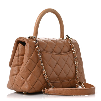 Chanel Caviar Quilted Lizard Embossed Mini Coco Handle Flap Brown 3 of 9