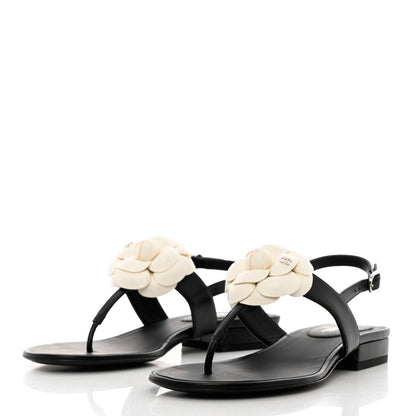 Chanel Lambskin Camellia Thong Sandals 36.5 Black White 3 of 9