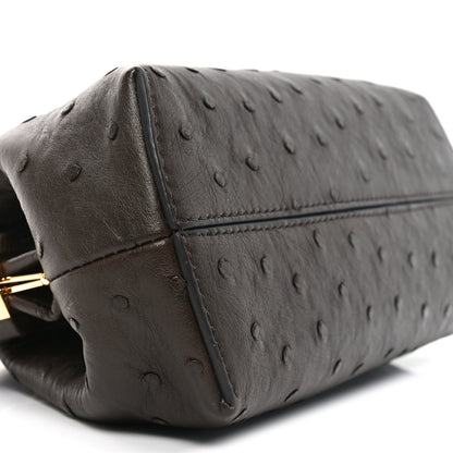 Fendi Ostrich Small Fendi First Dark Coffee 8 of 9