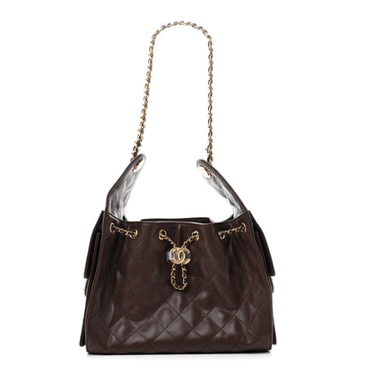 Chanel Caviar Quilted Small Chanel 25 Handbag Dark Brown 1 of 10