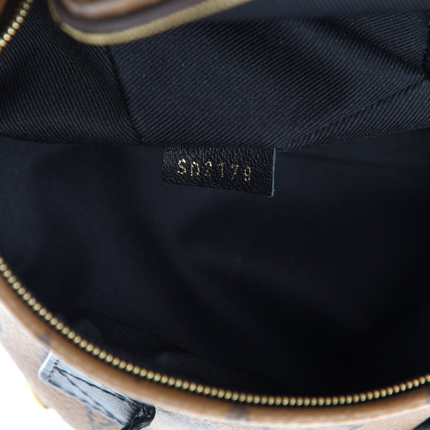 Reverse Monogram Palm Springs Backpack Mini