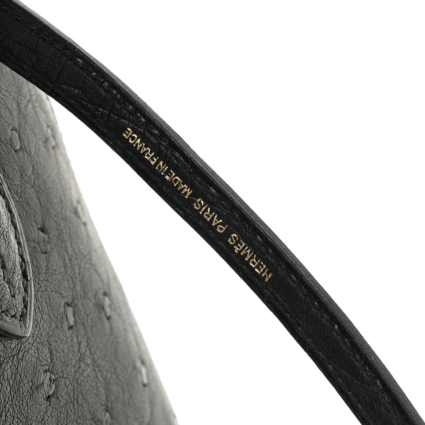 Ostrich Bolide Mini 1923 Black