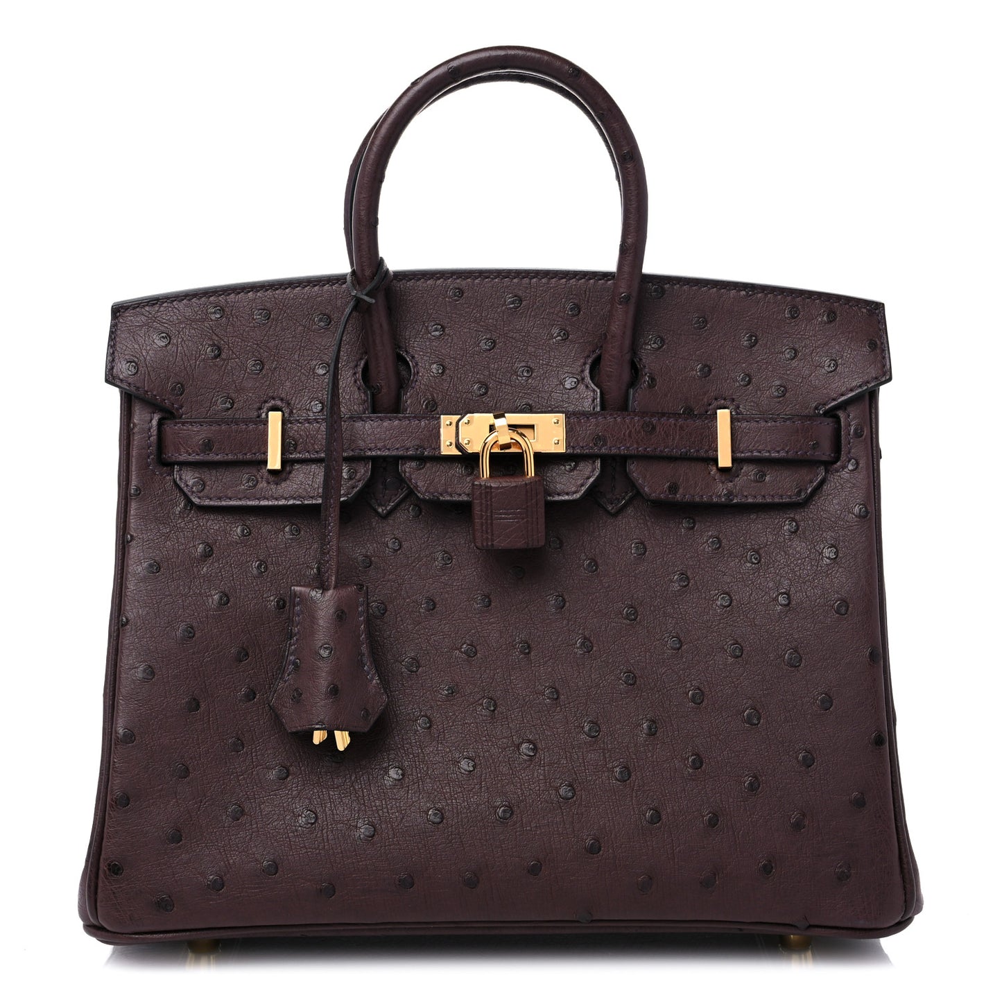 Ostrich Birkin 25 Rouge Sellier