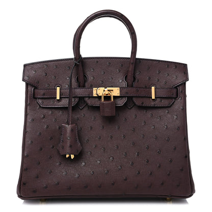 Hermes Ostrich Birkin 25 Rouge Sellier 1 of 10