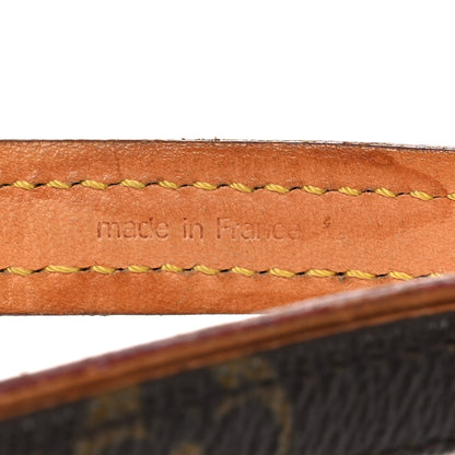 Louis Vuitton Monogram Baxter Dog Leash MM 4 of 7