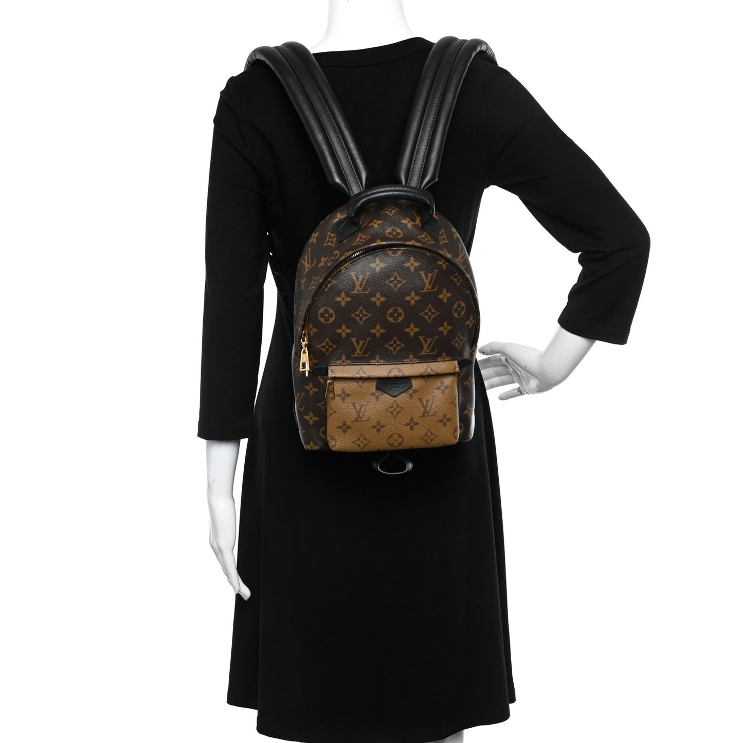 LOUIS VUITTON Reverse Monogram Palm Springs Backpack PM