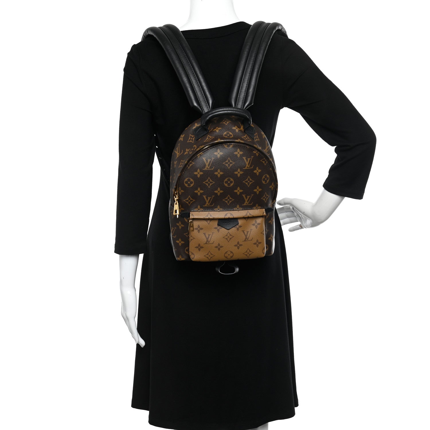 Louis Vuitton LOUIS VUITTON Reverse Monogram Palm Springs Backpack PM 2 of 10