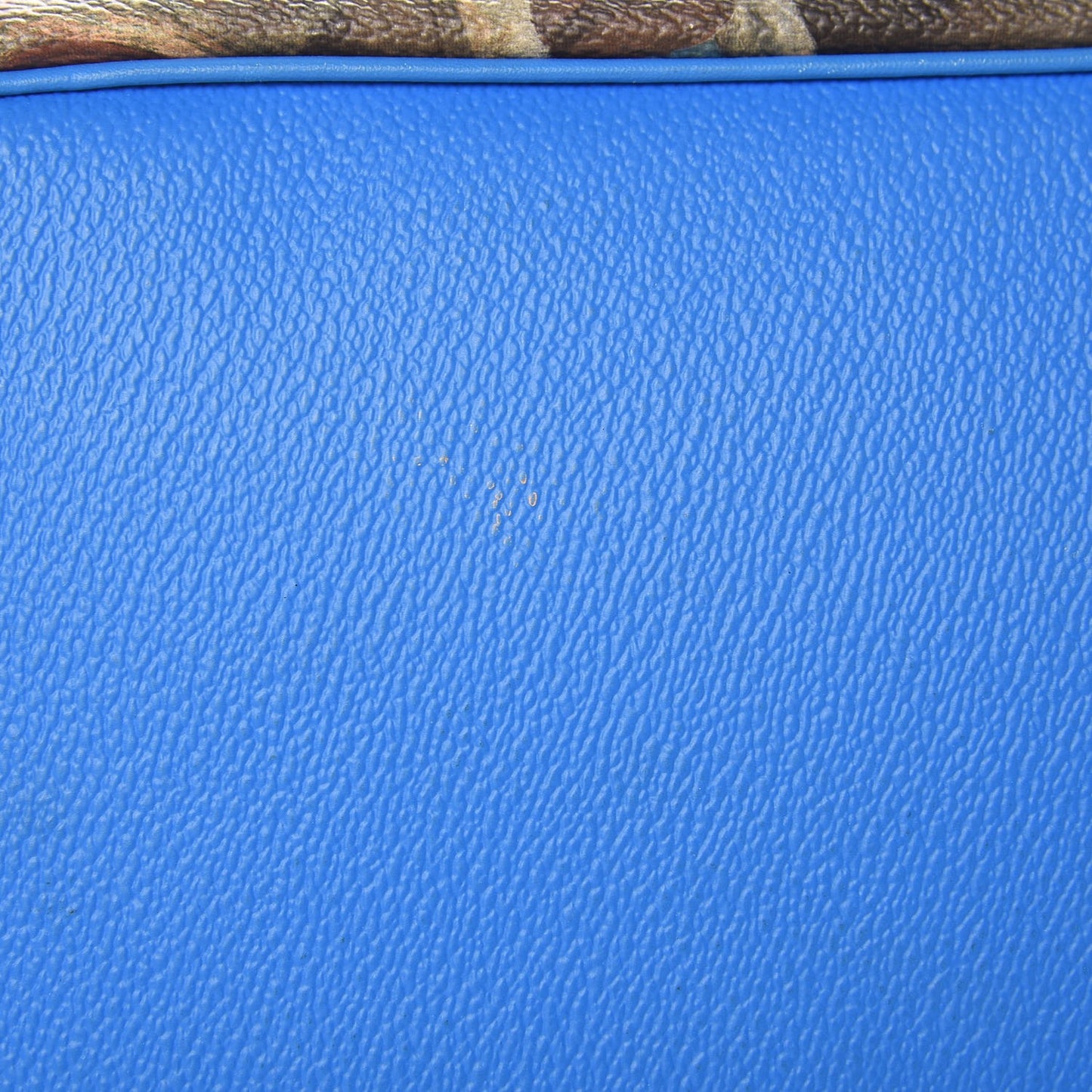 Masters Rubens Neverfull MM