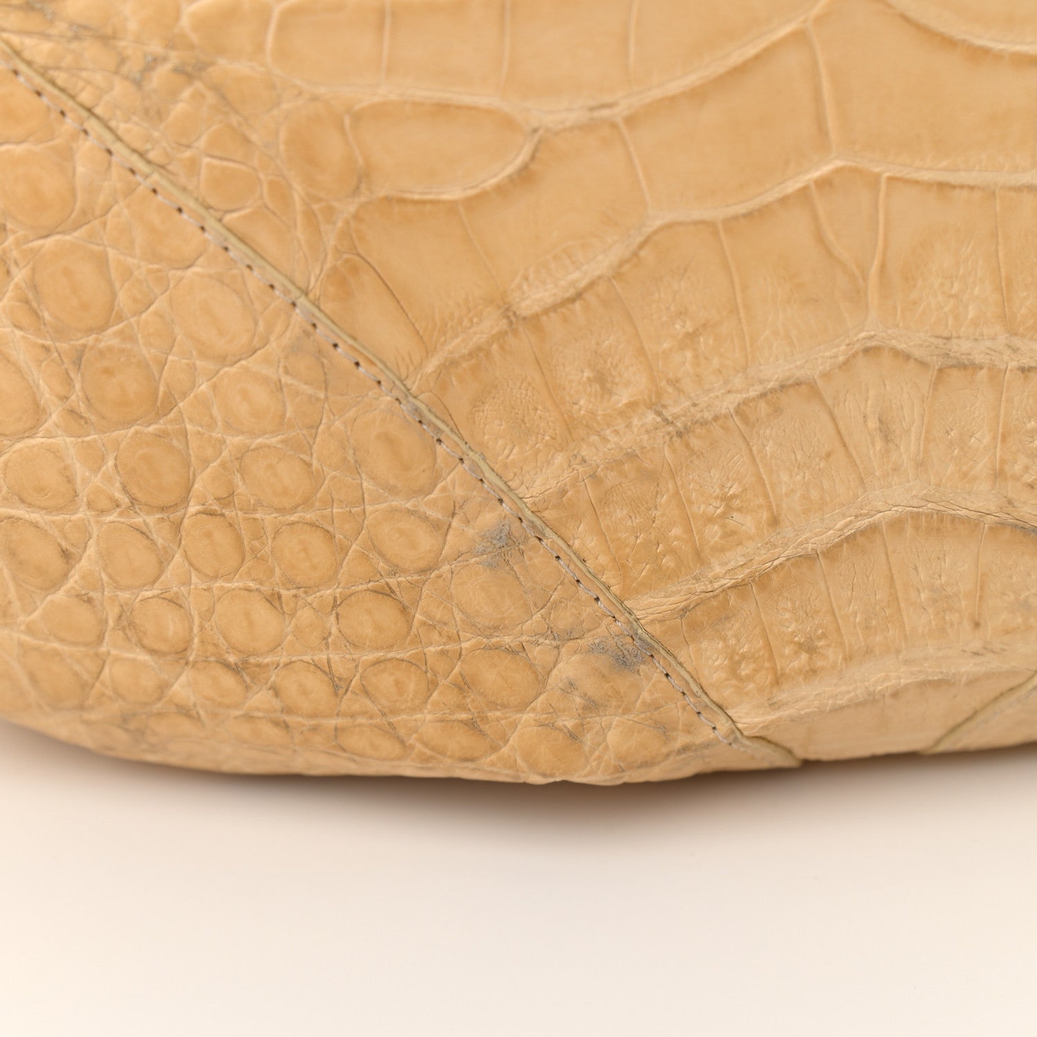 Nancy Gonzalez Crocodile Hobo Beige 12 of 12