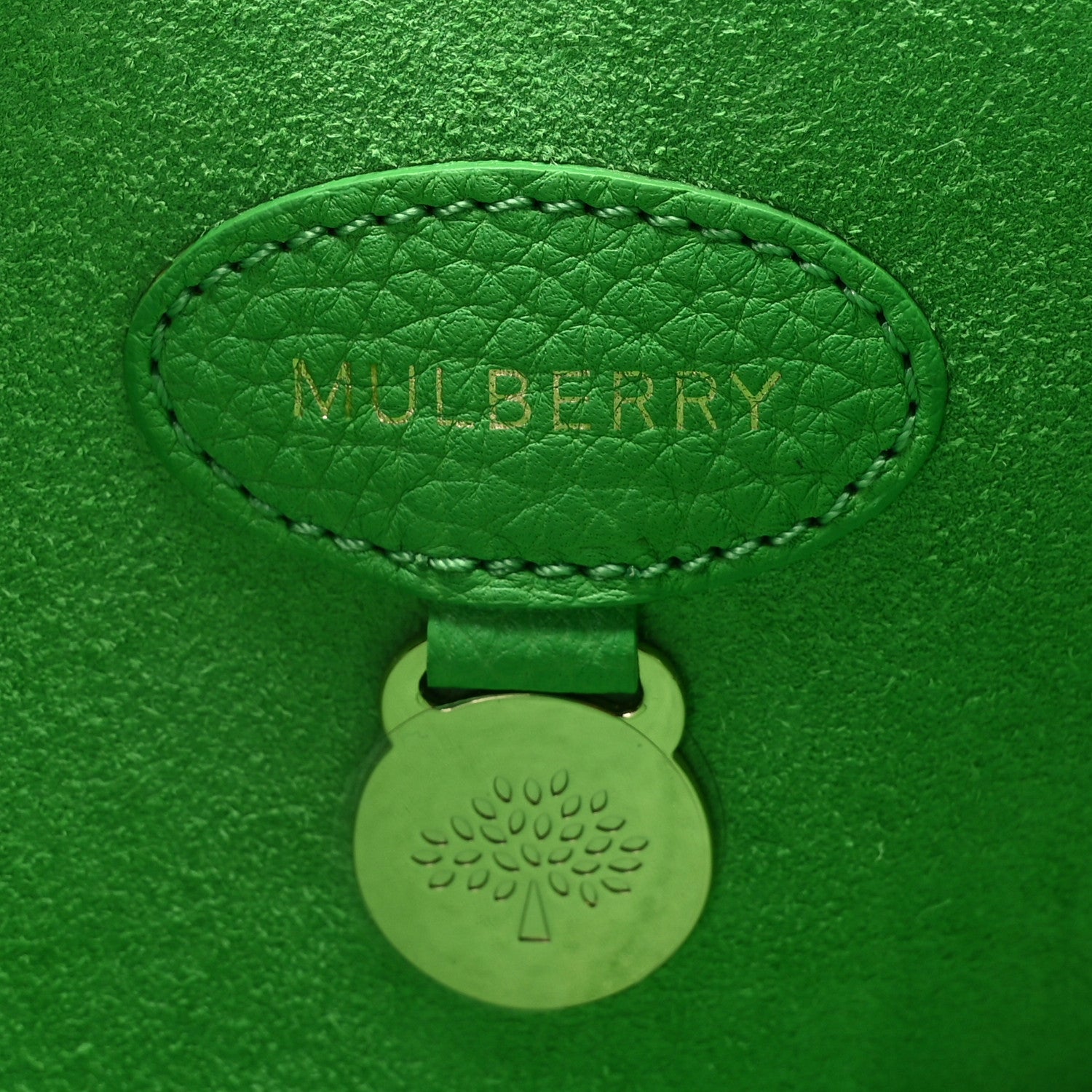 Mulberry Heavy Grain Bayswater Lawn Green 6 of 11