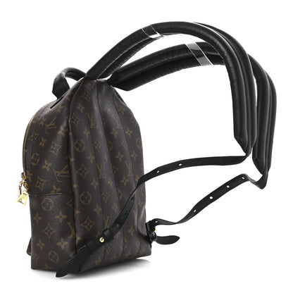 Louis Vuitton Monogram Palm Springs Backpack PM 3 of 12