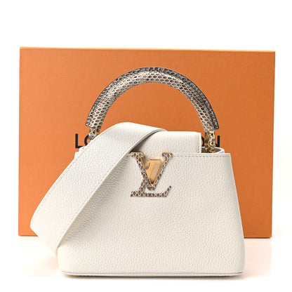 Louis Vuitton Taurillon Ayers Capucines Mini White Snow White 9 of 9
