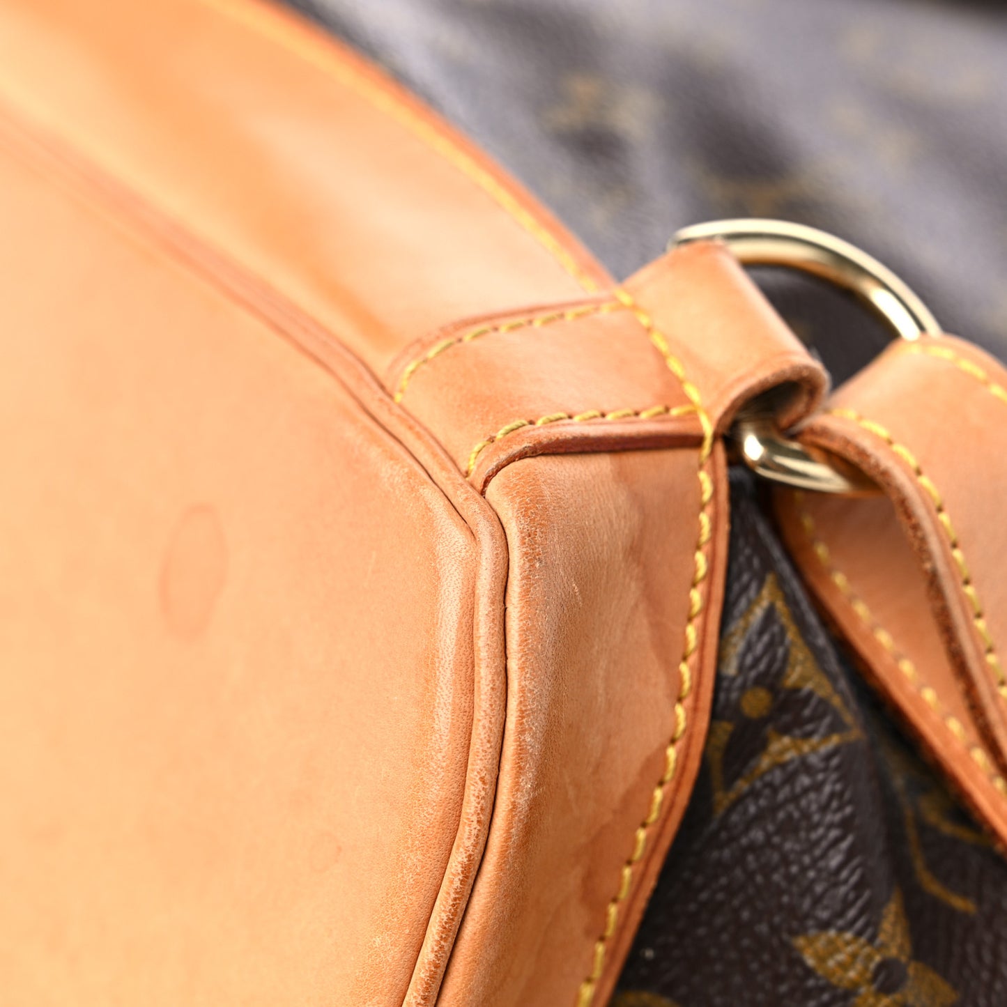 Monogram Montsouris GM Backpack