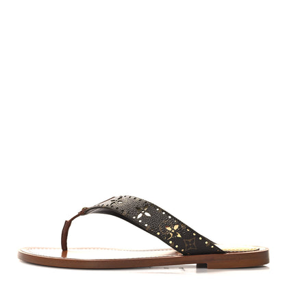 Louis Vuitton Monogram Sunny Flat Thong Sandals 36 Brown 1 of 10