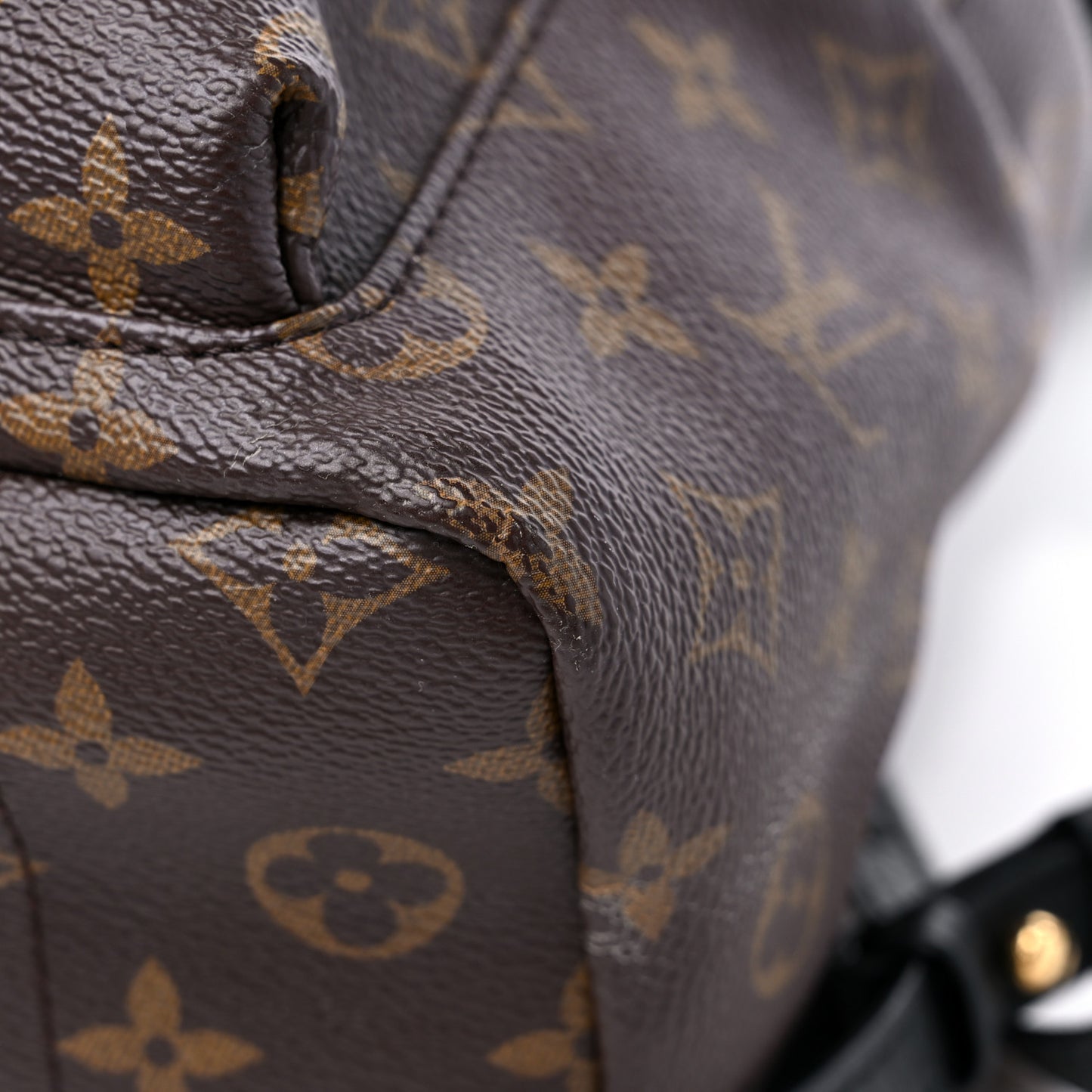 Monogram Palm Springs Backpack PM