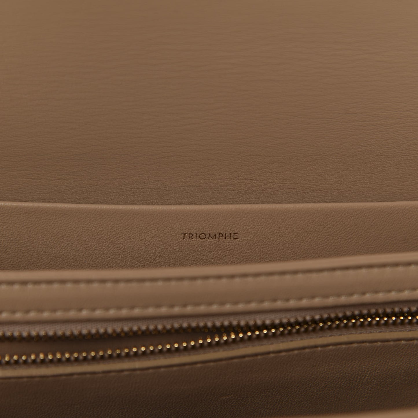 Shiny Calfskin Medium Triomphe Nude