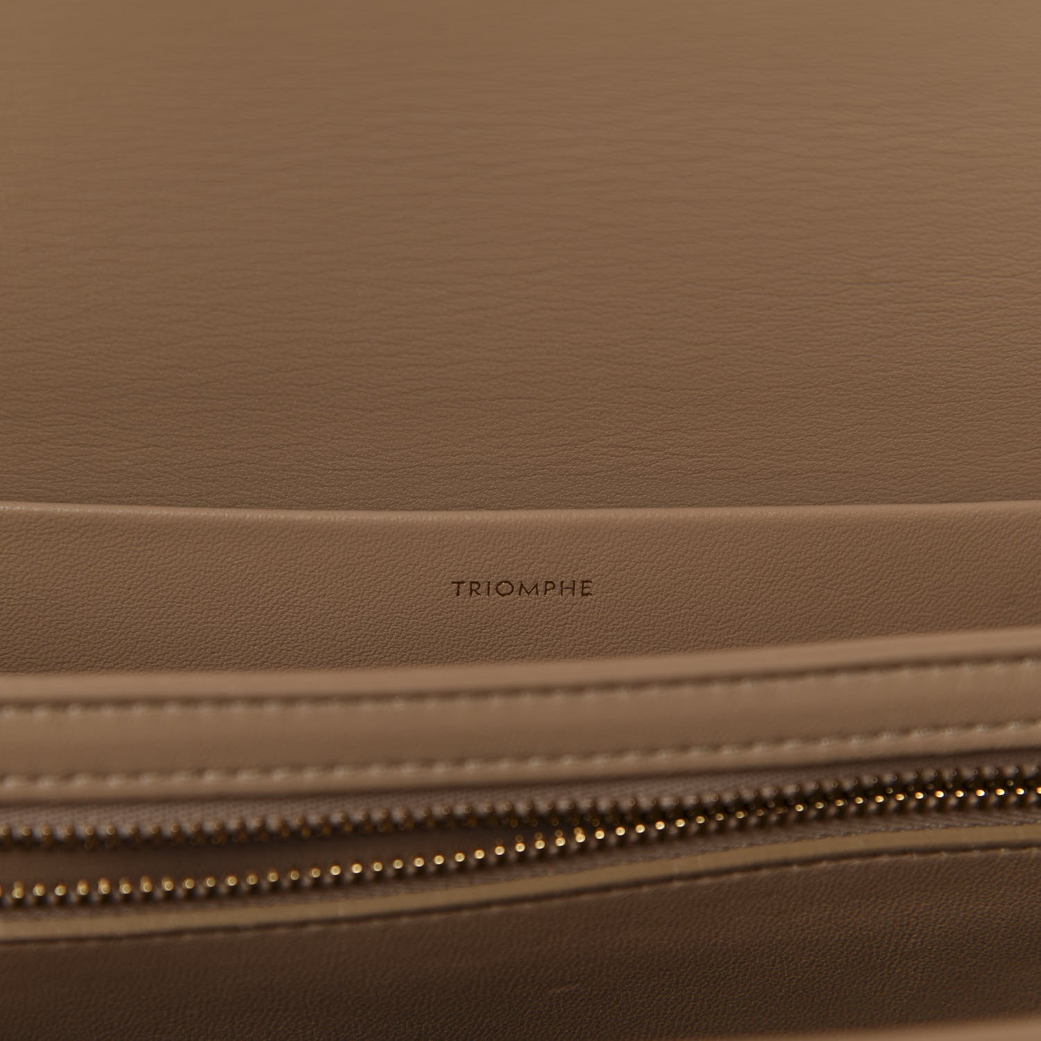 Celine Shiny Calfskin Medium Triomphe Nude 9 of 12