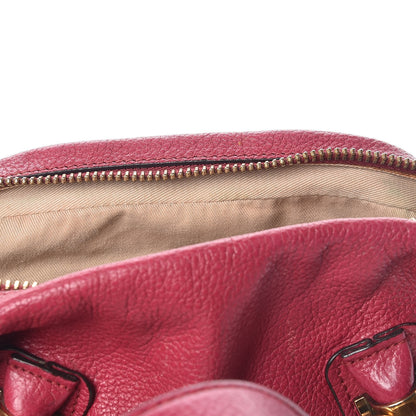 Chloe Calfskin Small Paraty Berry Cupcake 9 of 10