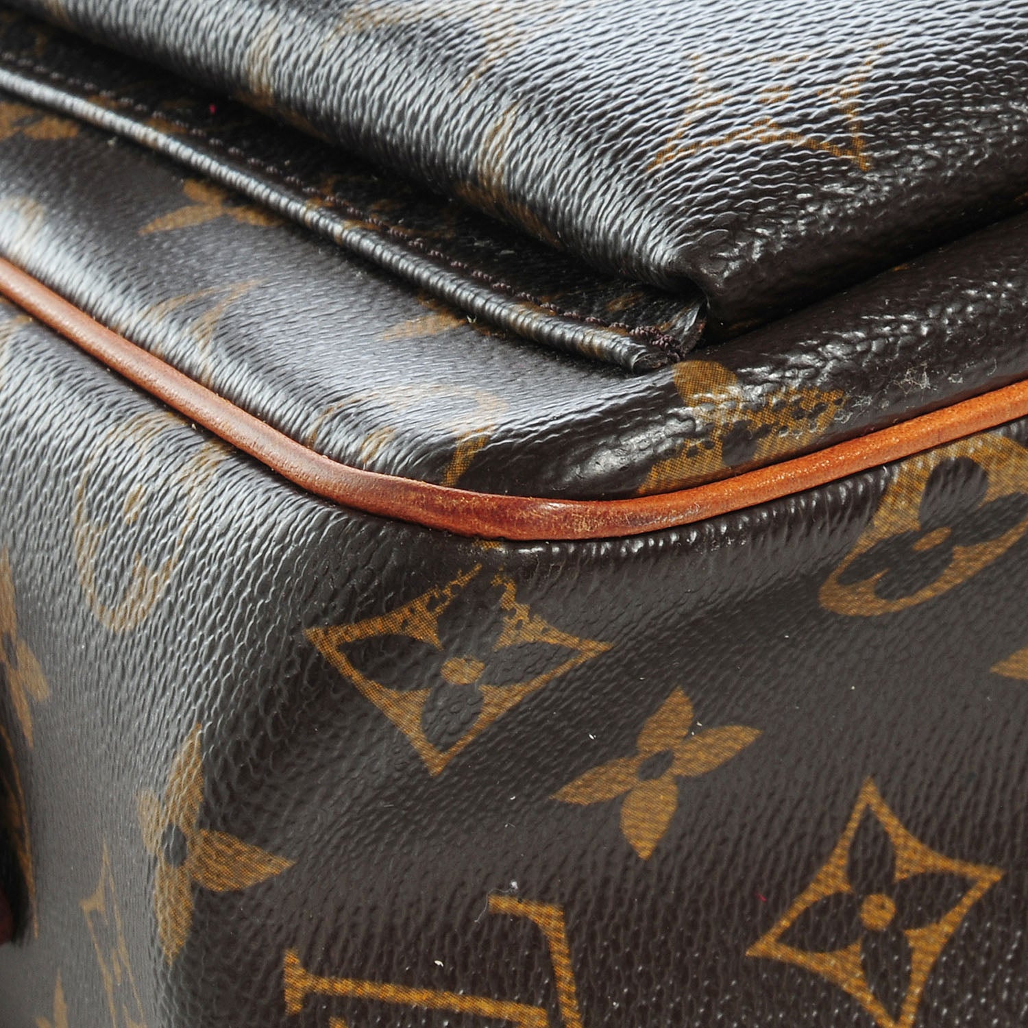 Louis Vuitton Monogram Viva-Cite GM 5 of 9