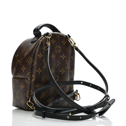 Louis Vuitton Monogram Palm Springs Backpack Mini 3 of 6