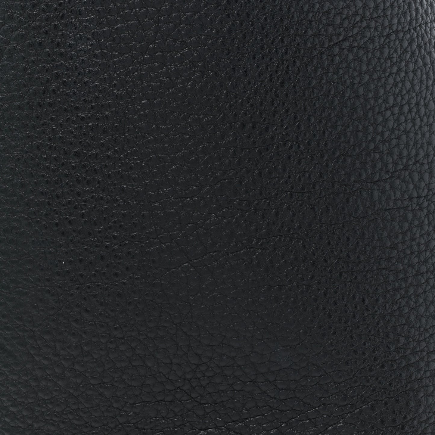 Grained Calfskin Medium N/S Park Tote Black