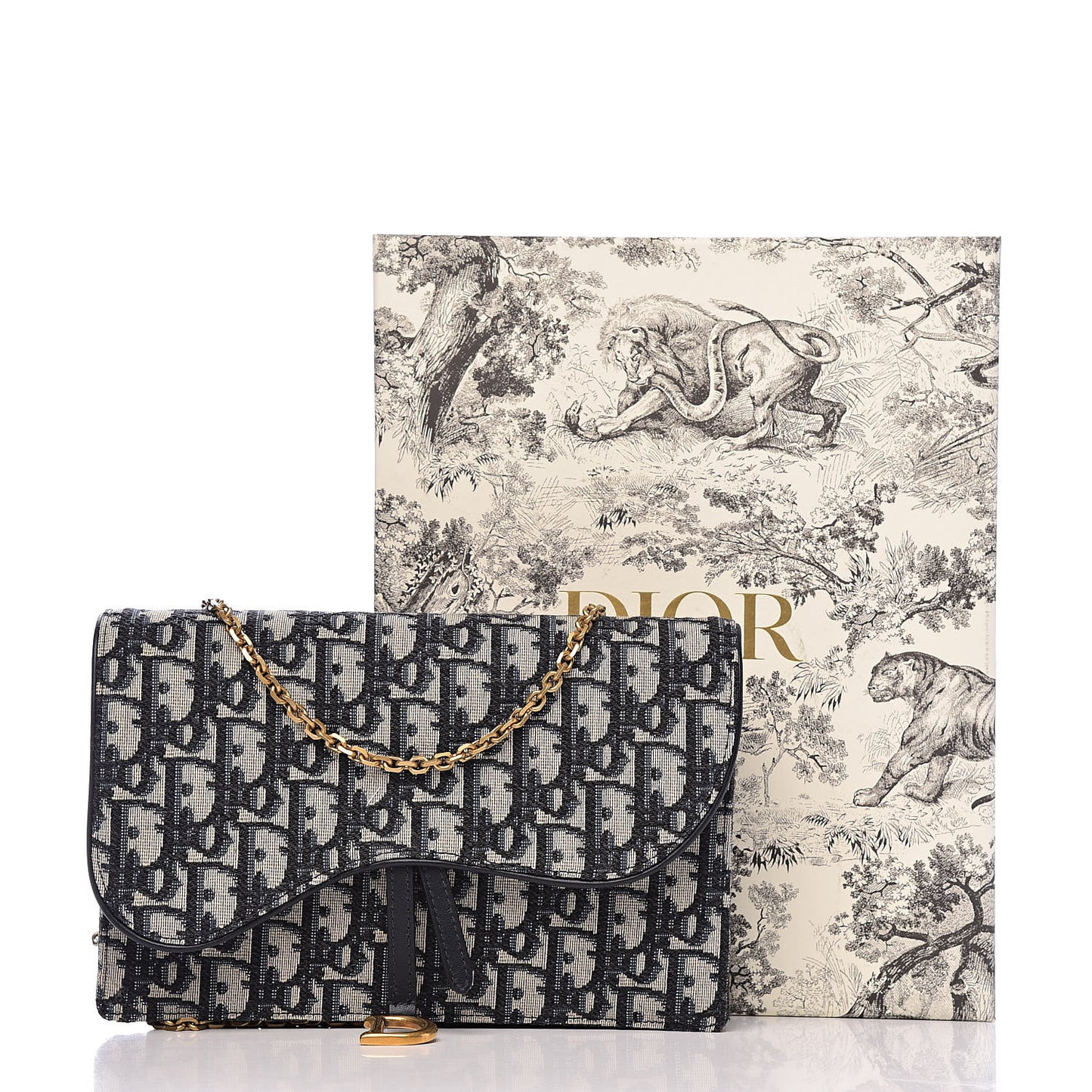 Oblique Saddle Chain Pouch Blue