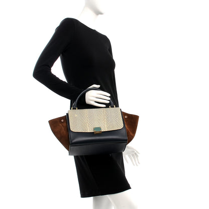 Celine Cobra Calfskin Suede Small Tri-Color Trapeze Natural 3 of 7