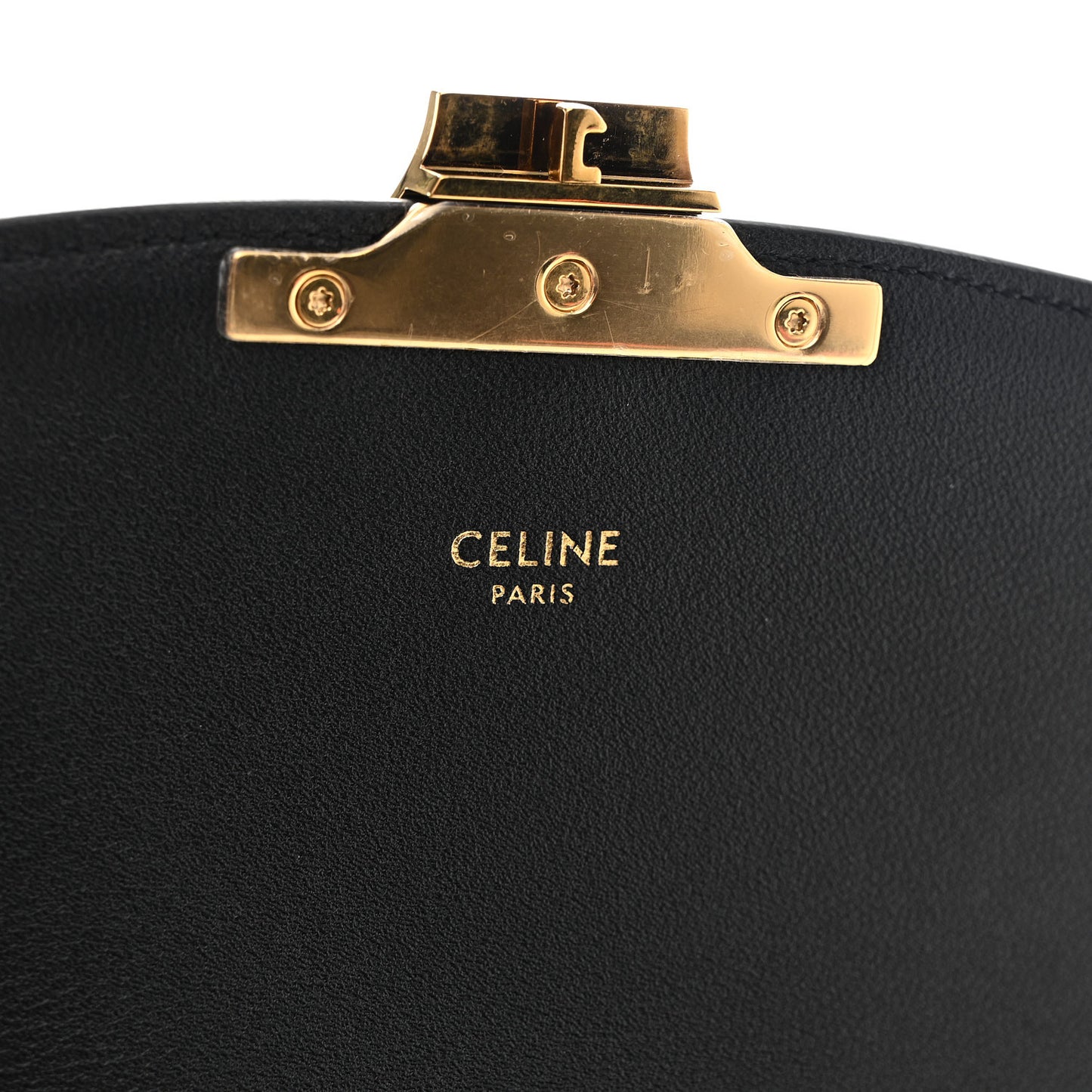 Velvet Calfskin Leopard Print Teen Triomphe Bag Brown Black