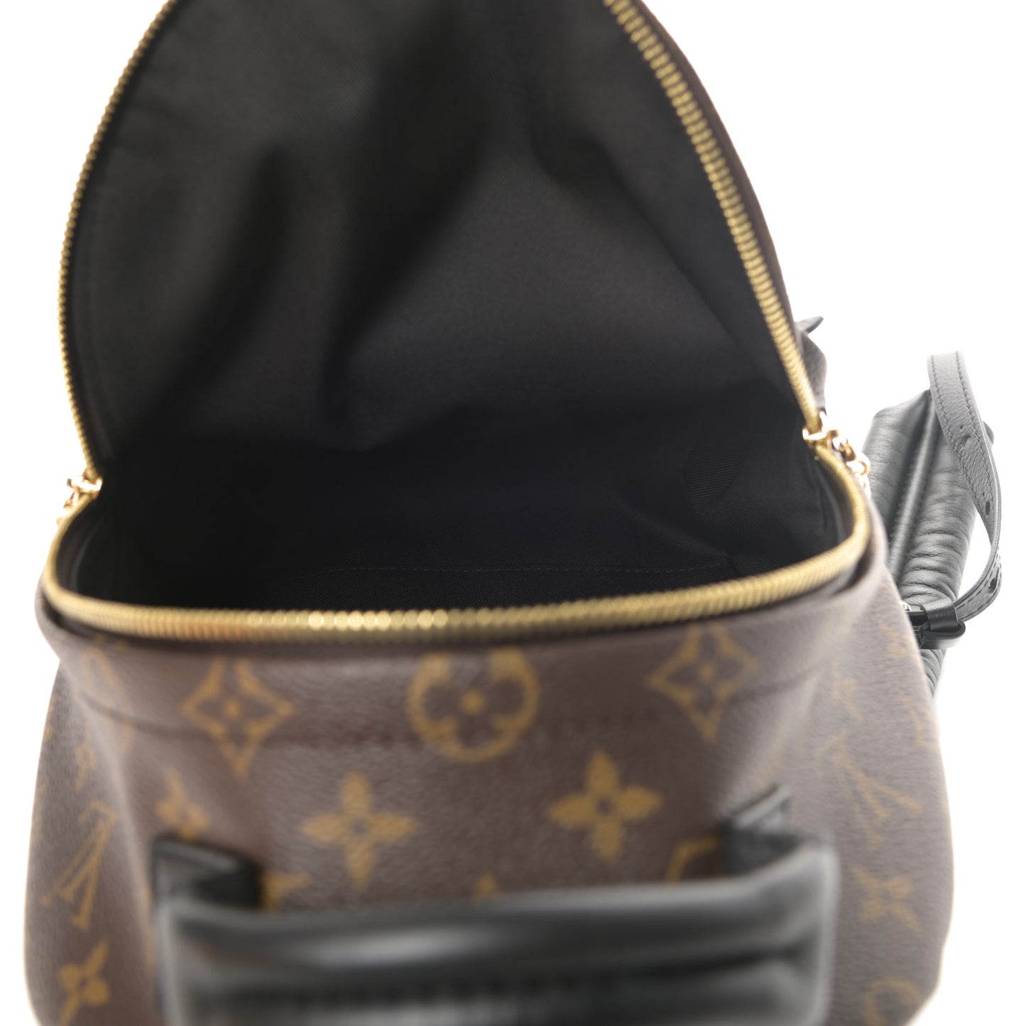Monogram Palm Springs Backpack PM