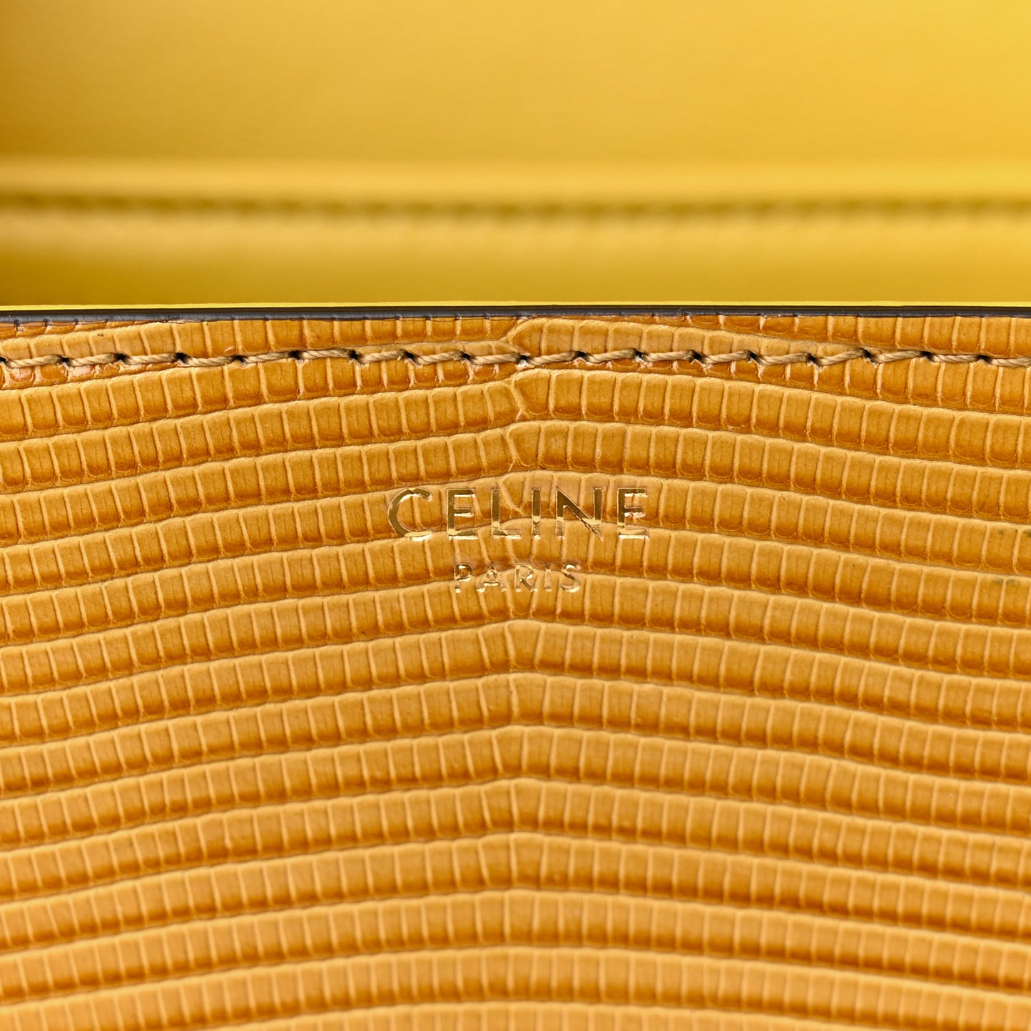 Lizard Teen Triomphe Ochre