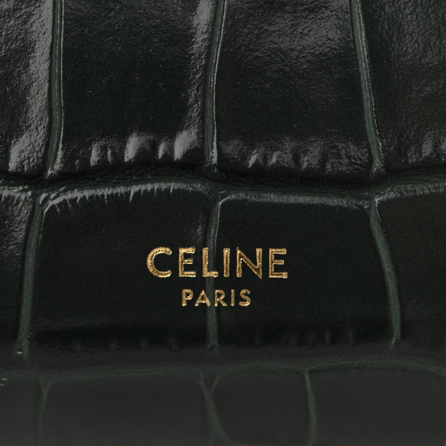 Calfskin Crocodile Embossed Nano Belt Bag Amazone