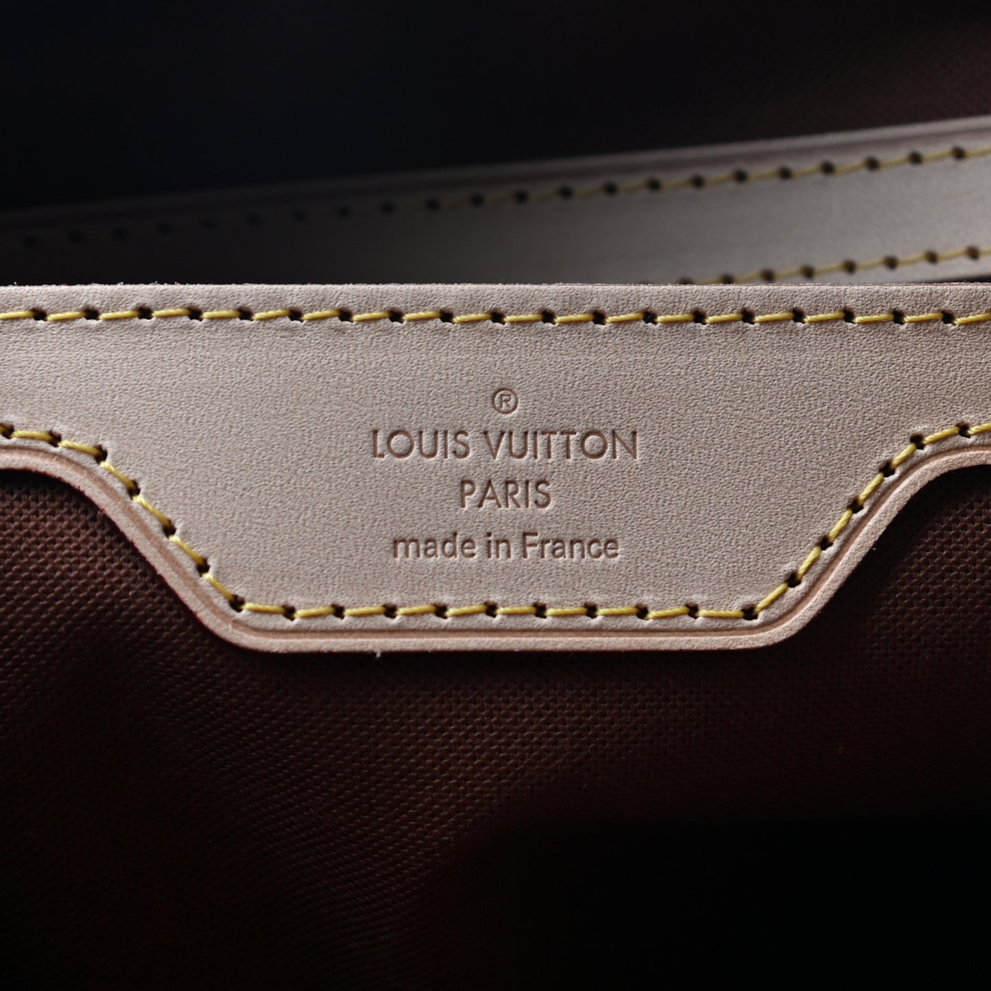 Monogram Carryall