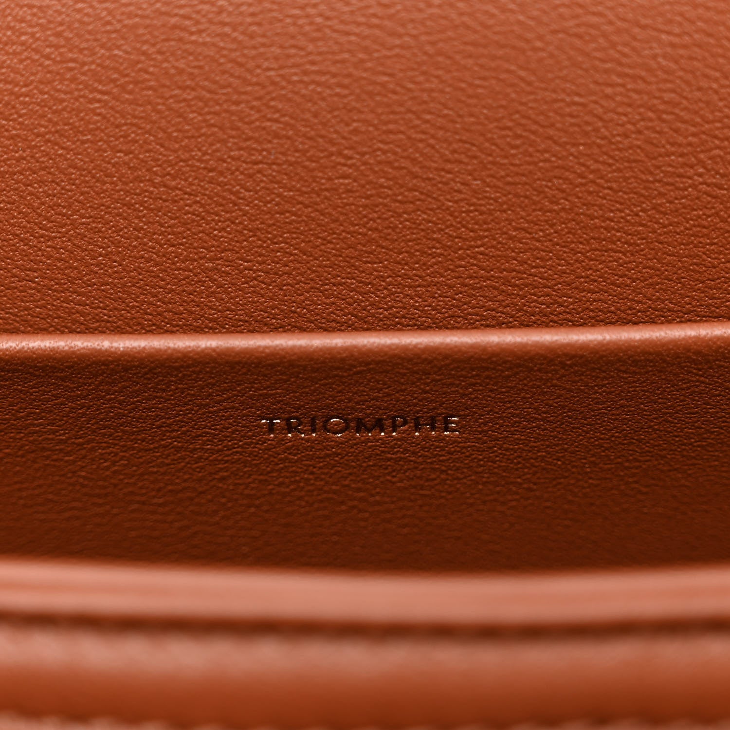 Celine Textile Calfskin Classique Triomphe Bag Natural Tan 7 of 10