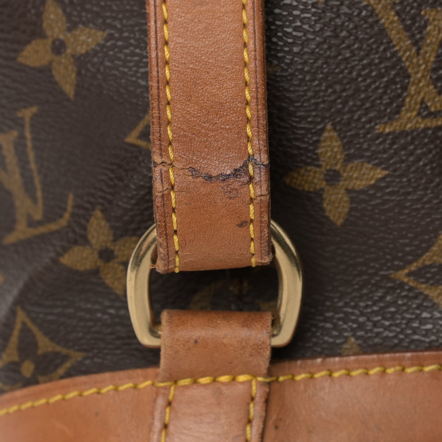 Monogram Montsouris GM Backpack