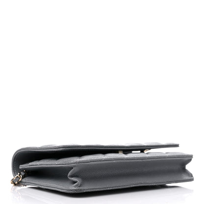Chanel Caviar Quilted Wallet On Chain WOC Grey 4 of 11