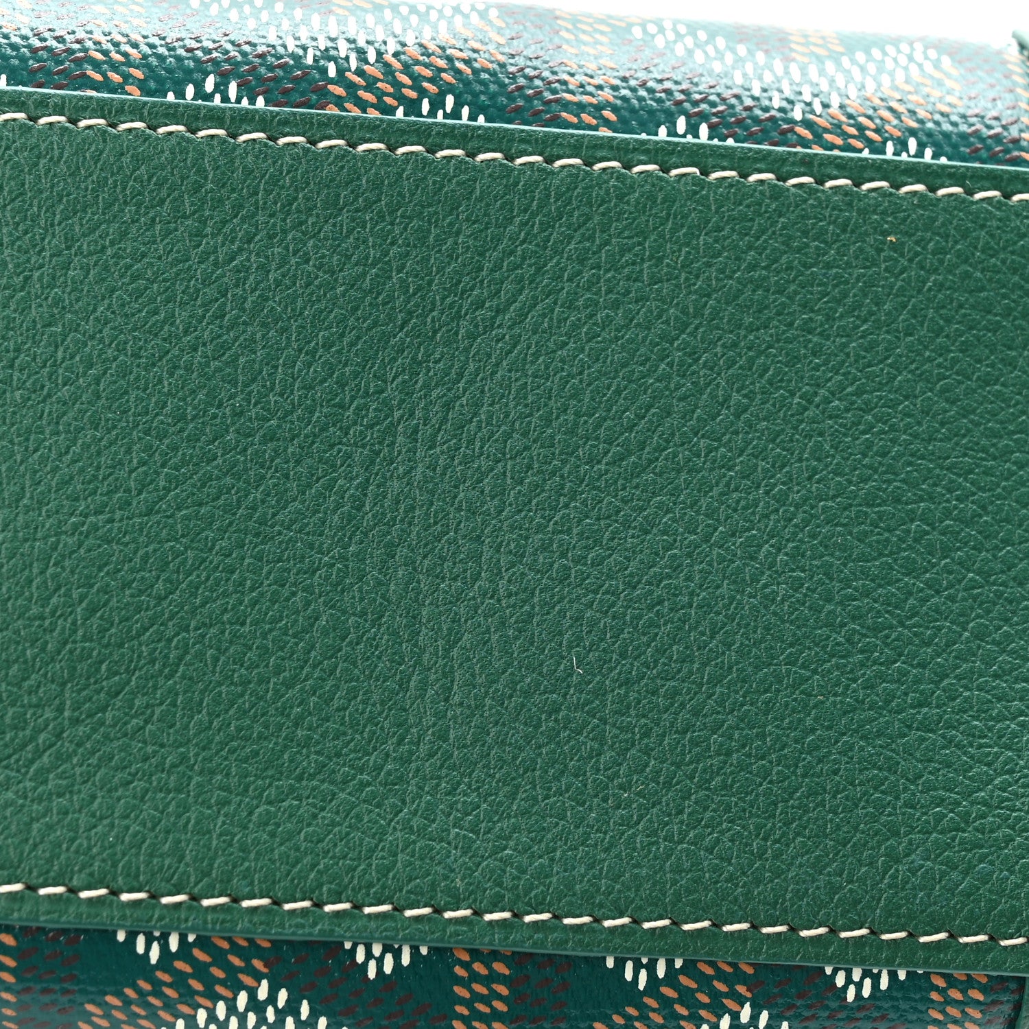 Goyard Goyardine Mini Saigon Green 11 of 12