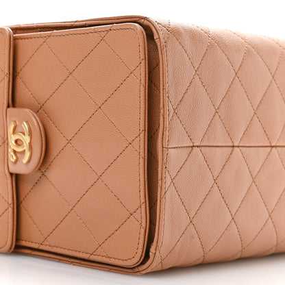 Chanel Caviar Quilted Medium Chanel 25 Handbag Brown 10 of 12