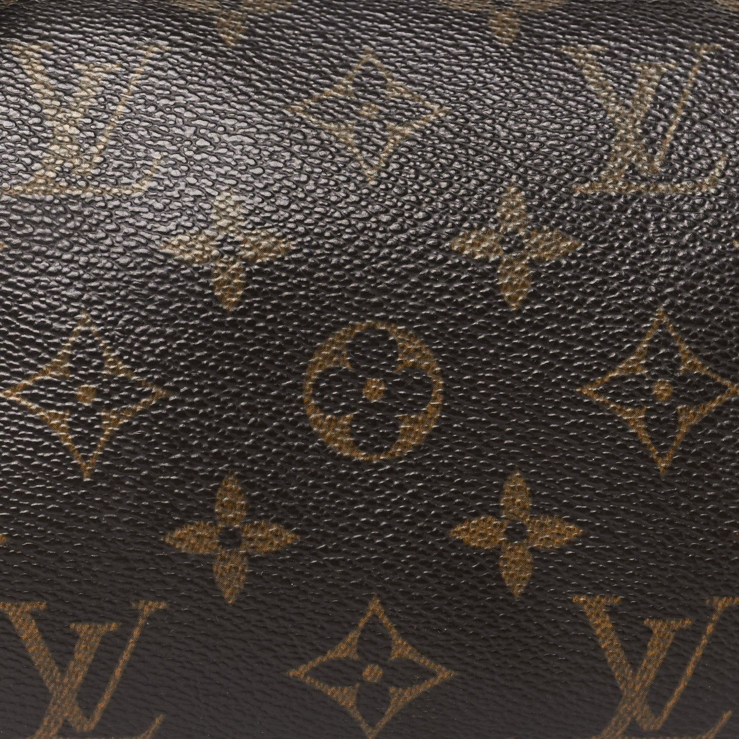Monogram Papillon 26