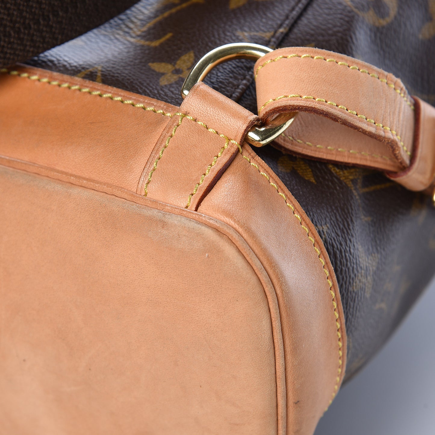 Monogram Montsouris GM Backpack