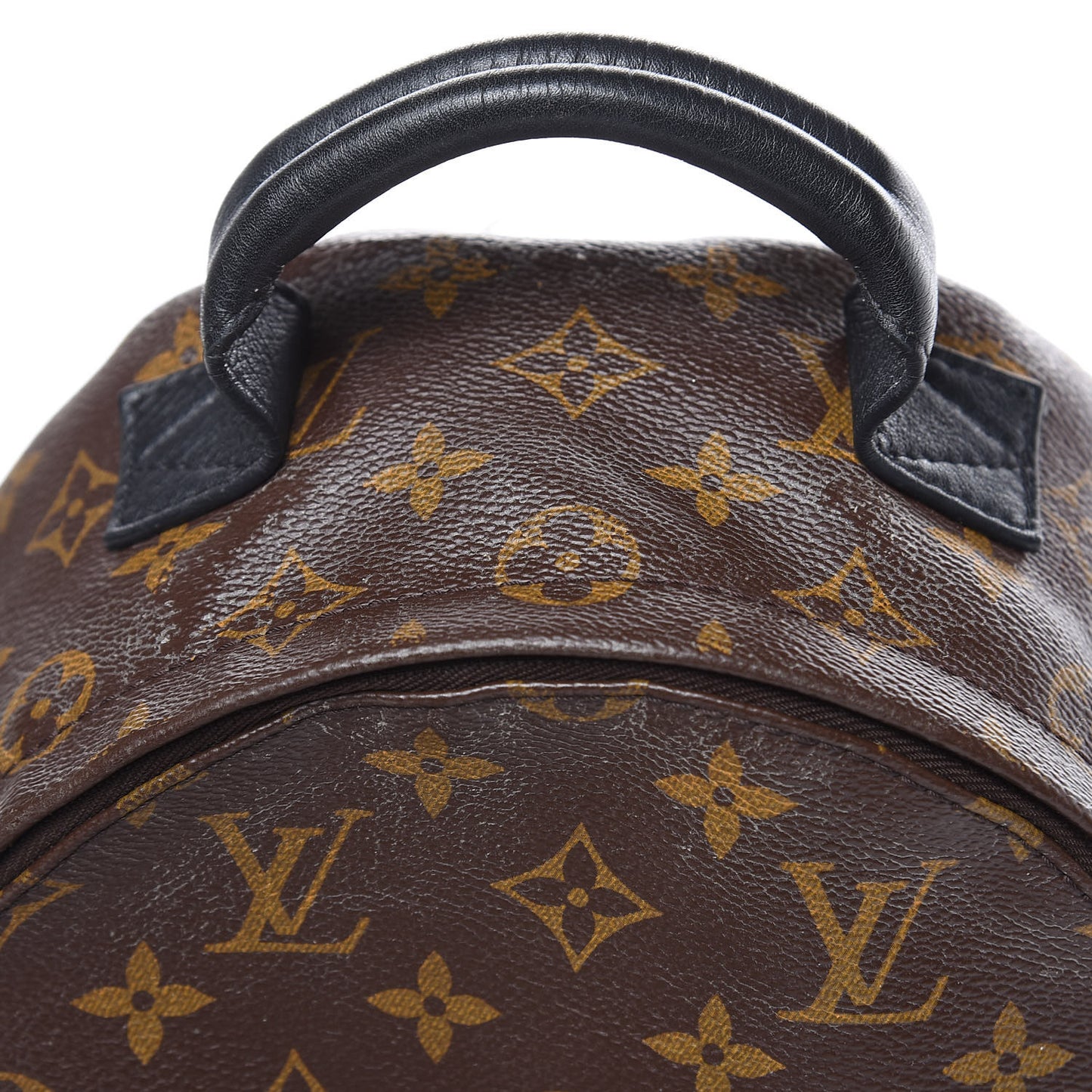 Monogram Palm Springs Backpack PM