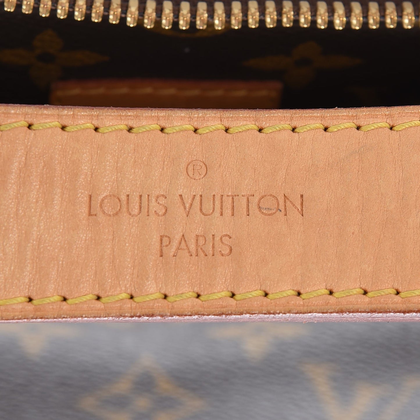 Monogram Sully MM