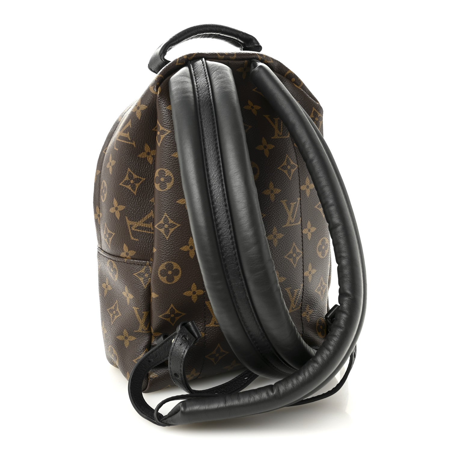 Louis Vuitton Monogram Palm Springs Backpack PM 3 of 9