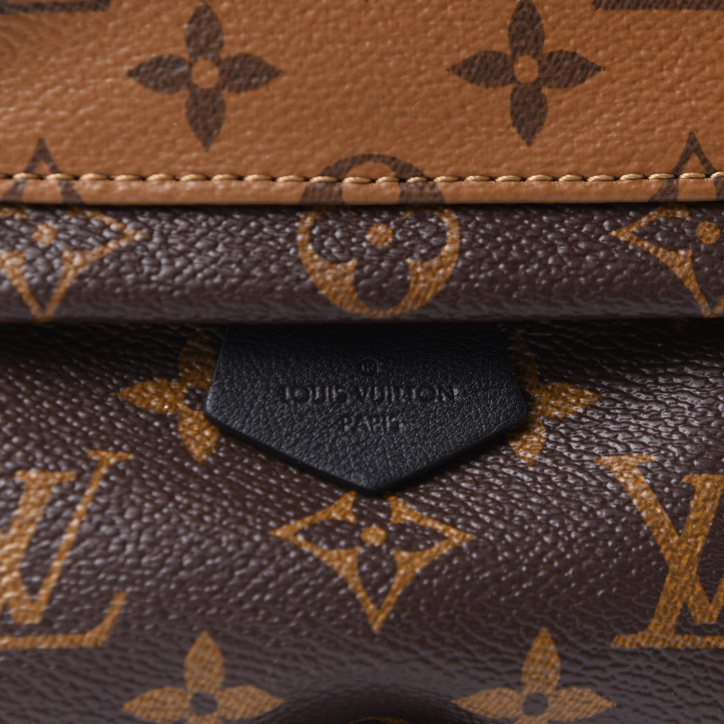 Reverse Monogram Palm Springs Backpack Mini