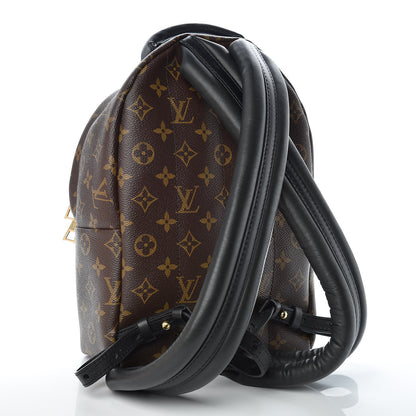 Louis Vuitton Monogram Palm Springs Backpack PM 3 of 11