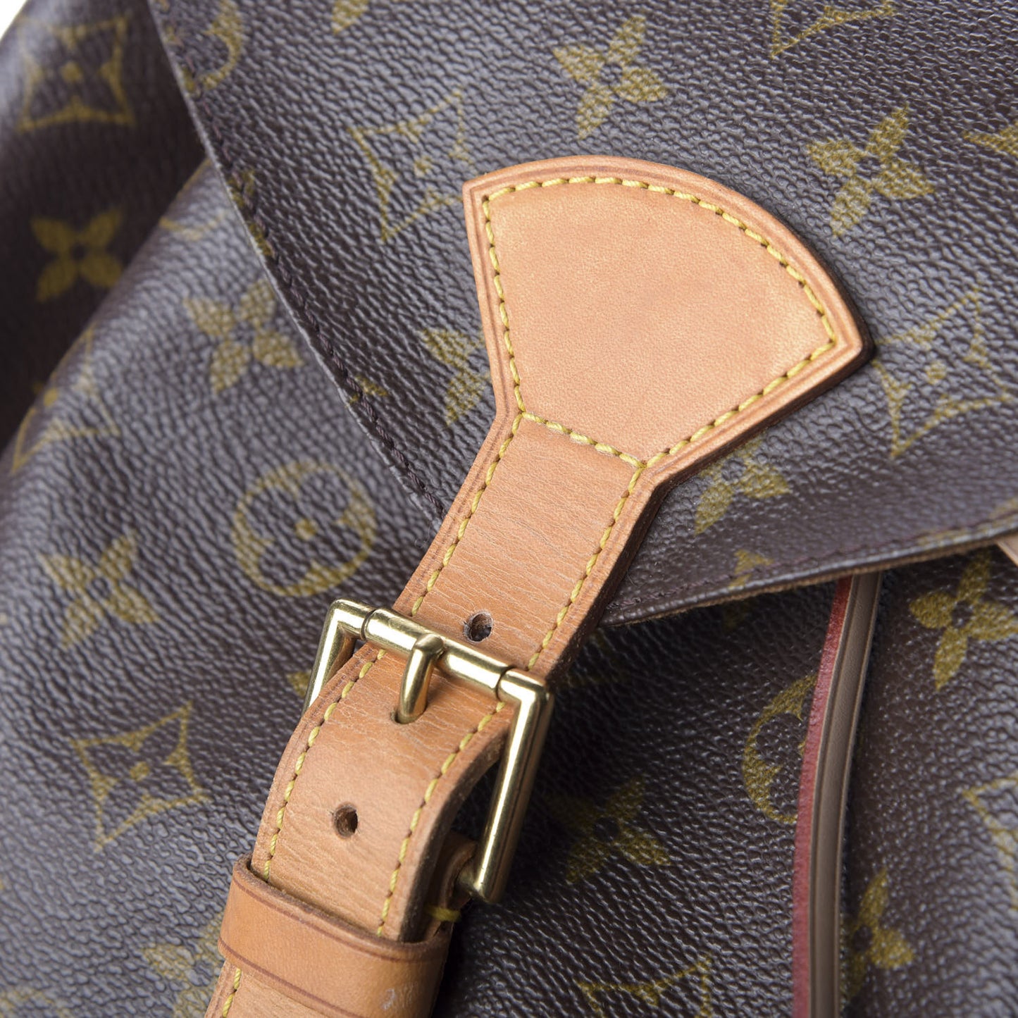 Monogram Montsouris GM Backpack