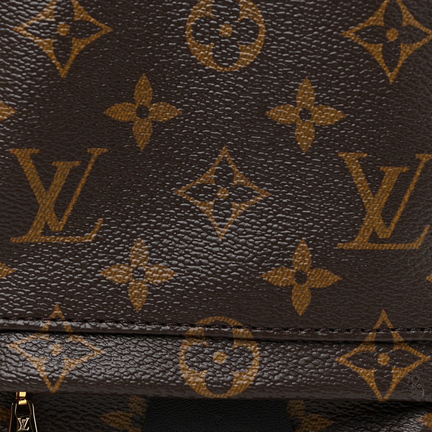 Monogram Palm Springs Backpack Mini
