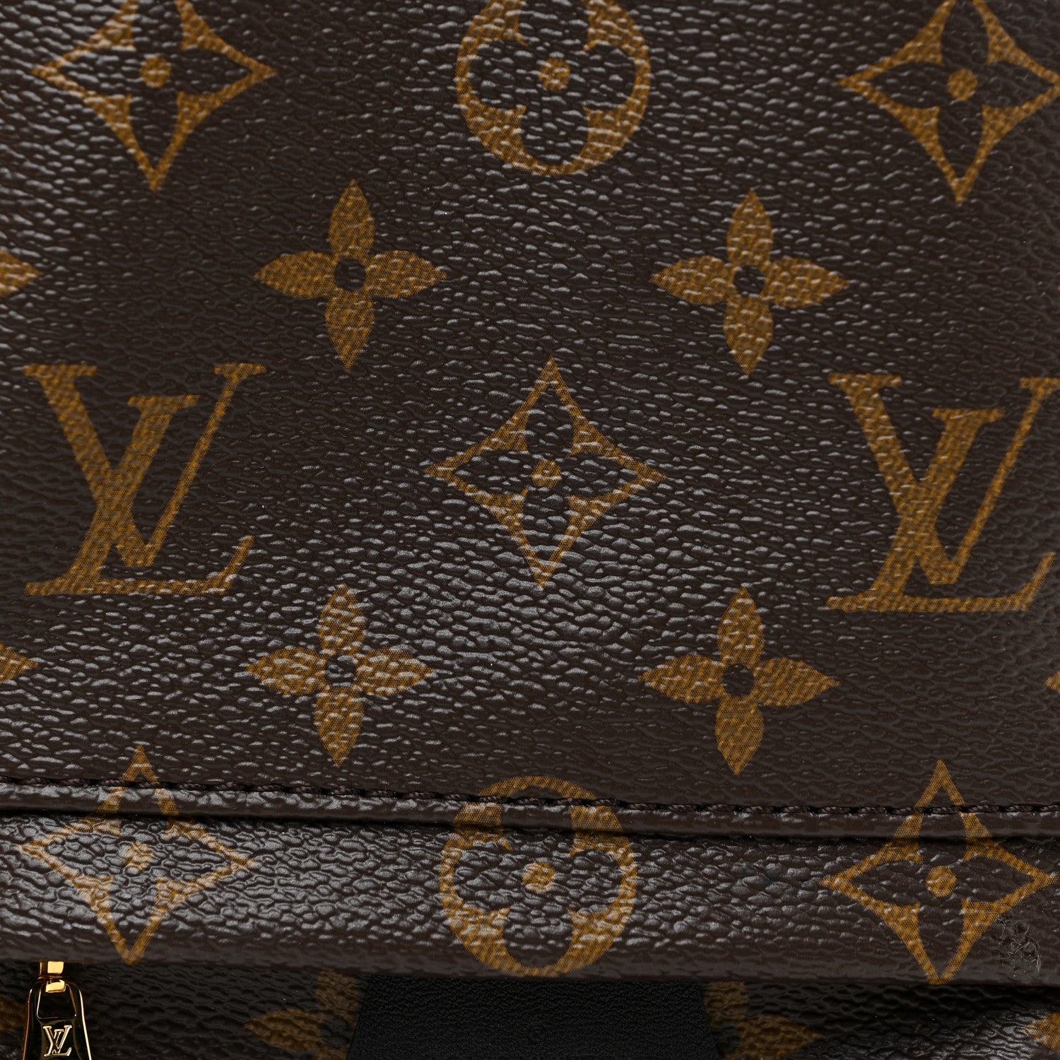 Louis Vuitton Monogram Palm Springs Backpack Mini 6 of 12